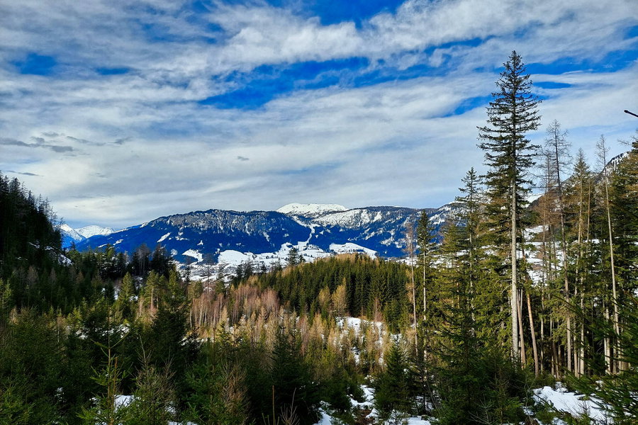Aussicht in Richtung Nordwesten. Foto: Alice Frischherz