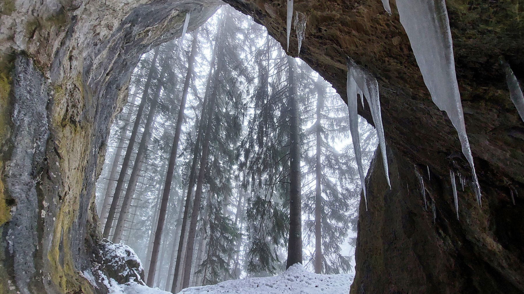 Weitwinkel-Blick aus dem Inneren der Grotte. Foto: Alice Frischherz