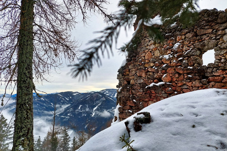 An der Ruine Ehrenfels kurz nachdem der Nebel sich lichtete. Foto: Alice Frischherz