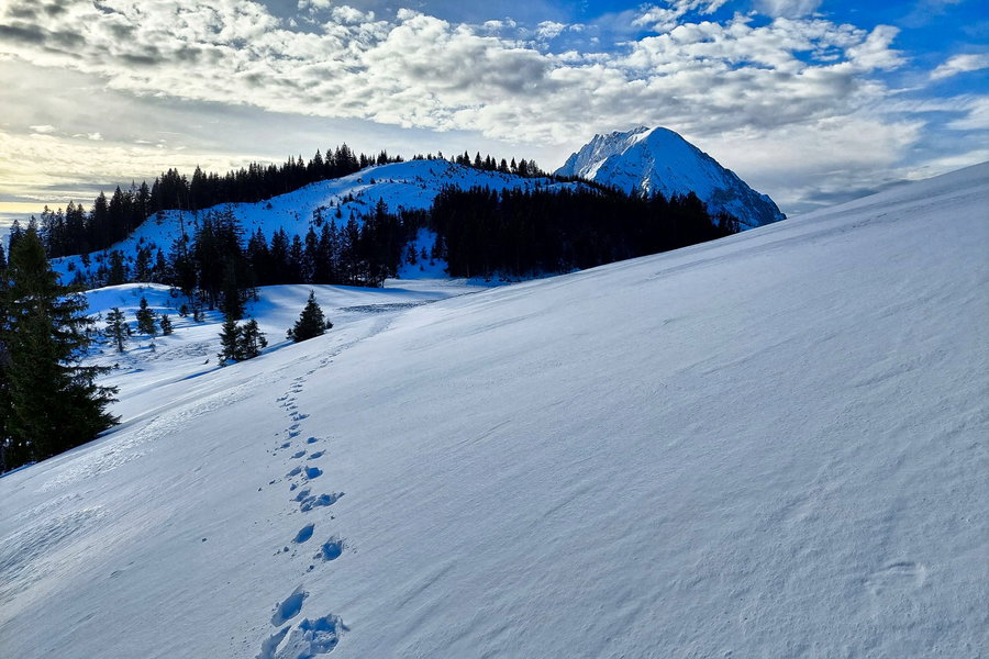 Blick zurück zur Brandangeralm (Mitte), darüber der Brandangerkogel, Grimming dahinter. Foto: Alice Frischherz