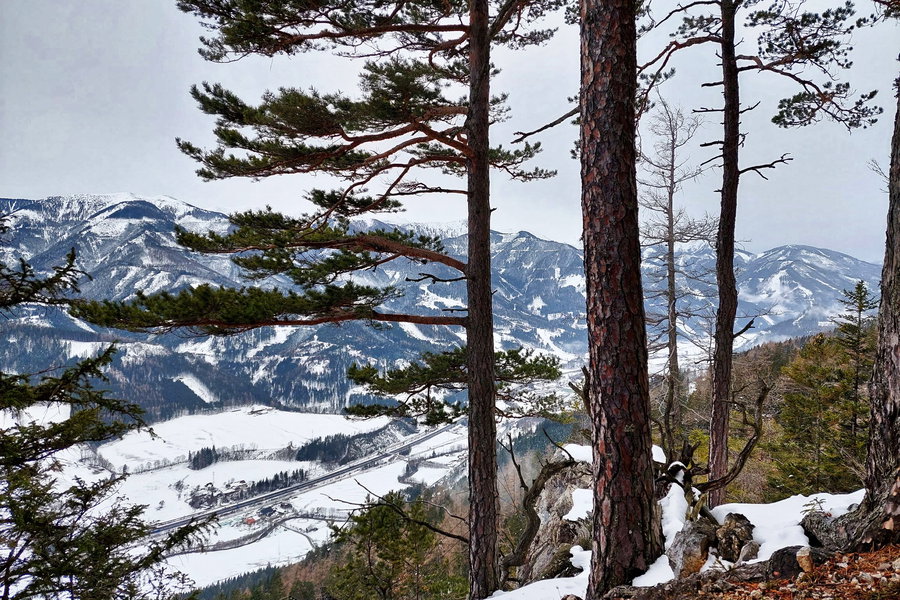 Nochmaliger Blick in Richtung (Süd)westen – die Ortschaft zwischen den Bäumen muss Mautern sein. Foto: Alice Frischherz