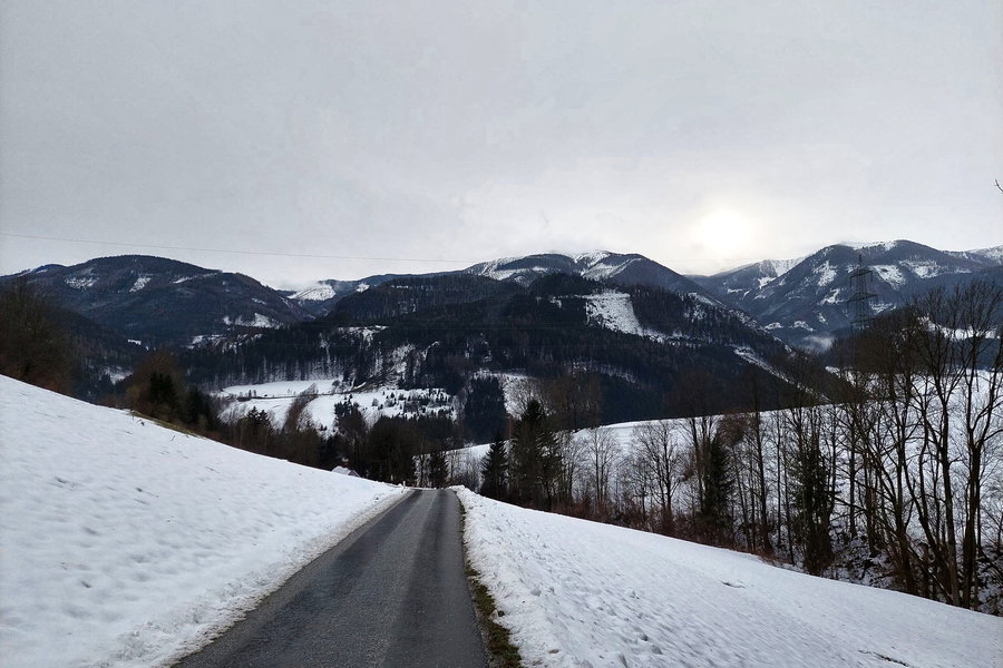 Asphaltstraße kurz vor der Ortschaft Mautern. Foto: Alice Frischherz