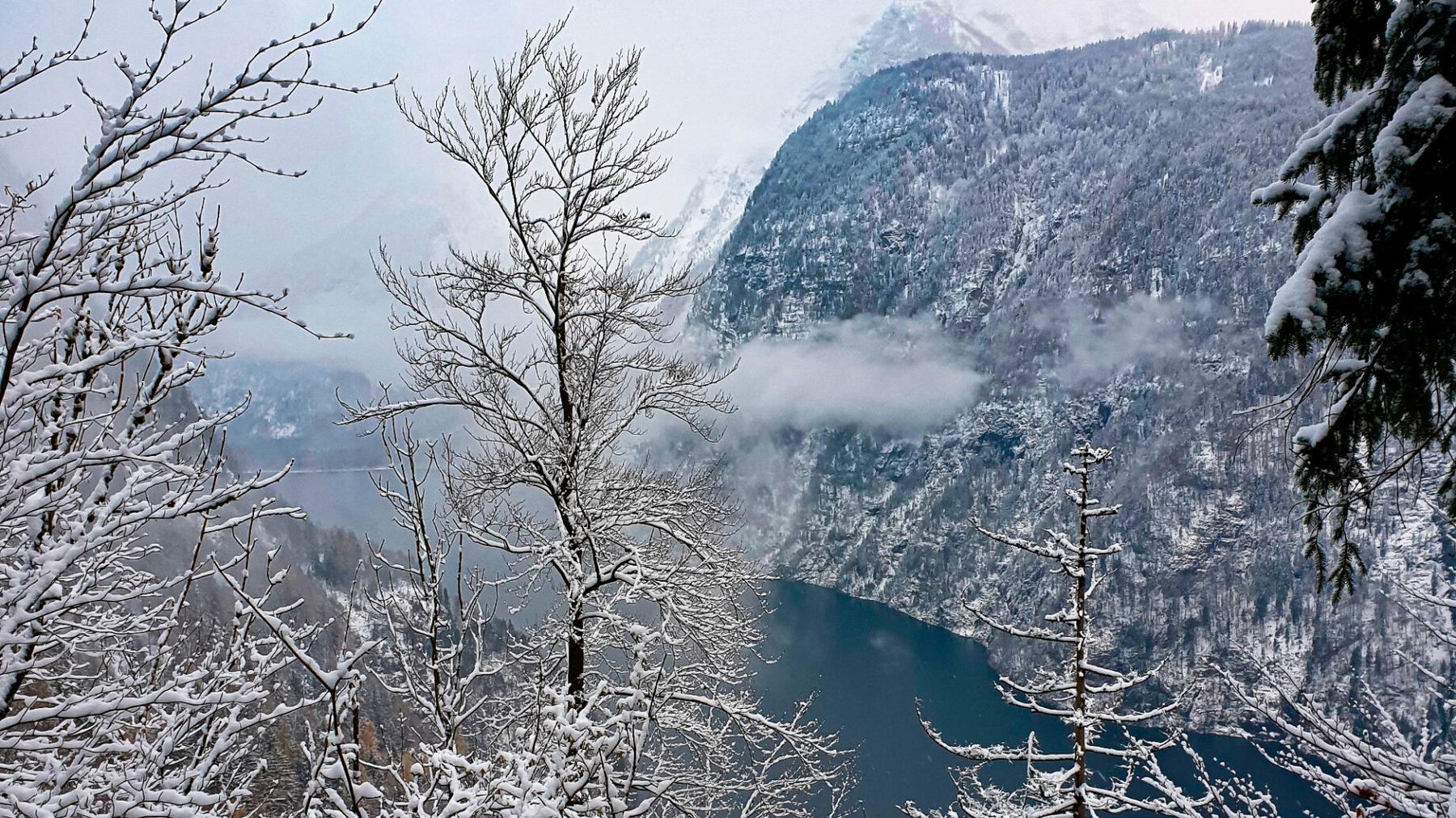 Blick von der Hochbahn auf den Königssee. Foto: Maresa Brandner.