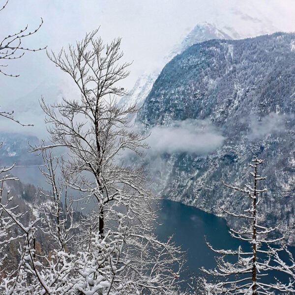 Blick von der Hochbahn auf den Königssee. Foto: Maresa Brandner.