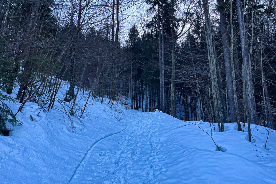 Weg zum Spitzingsattel. Foto: Bernhard Walle