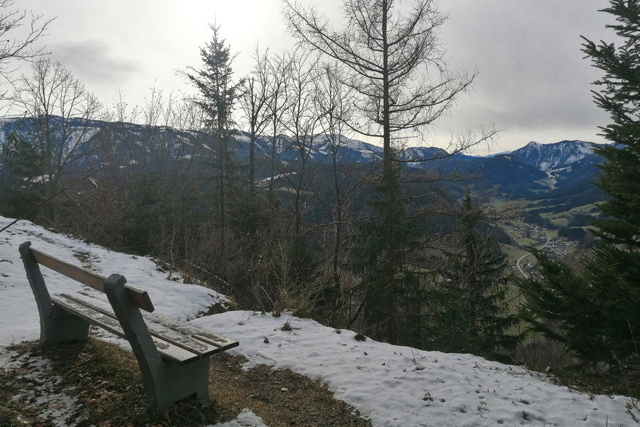 Am Sonnwendkogel. Foto: Sarah Pallauf