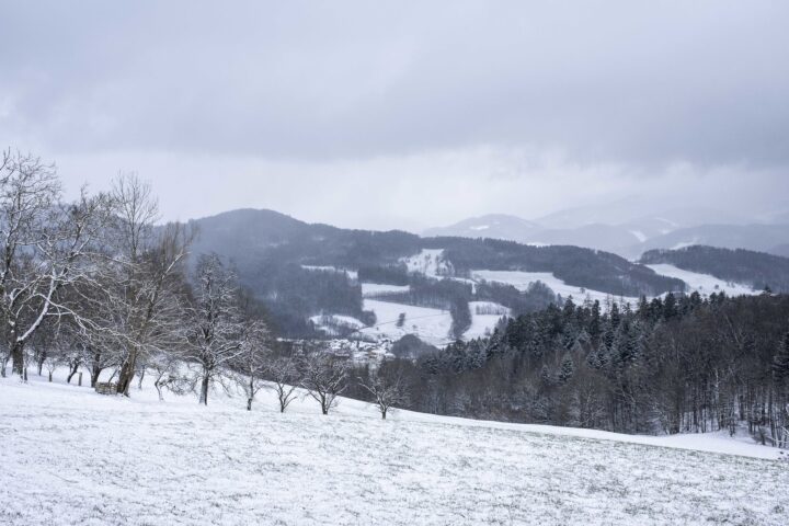 Leicht angezuckert, Blick in südliche Richtung. Fotos: Birgit Reiter