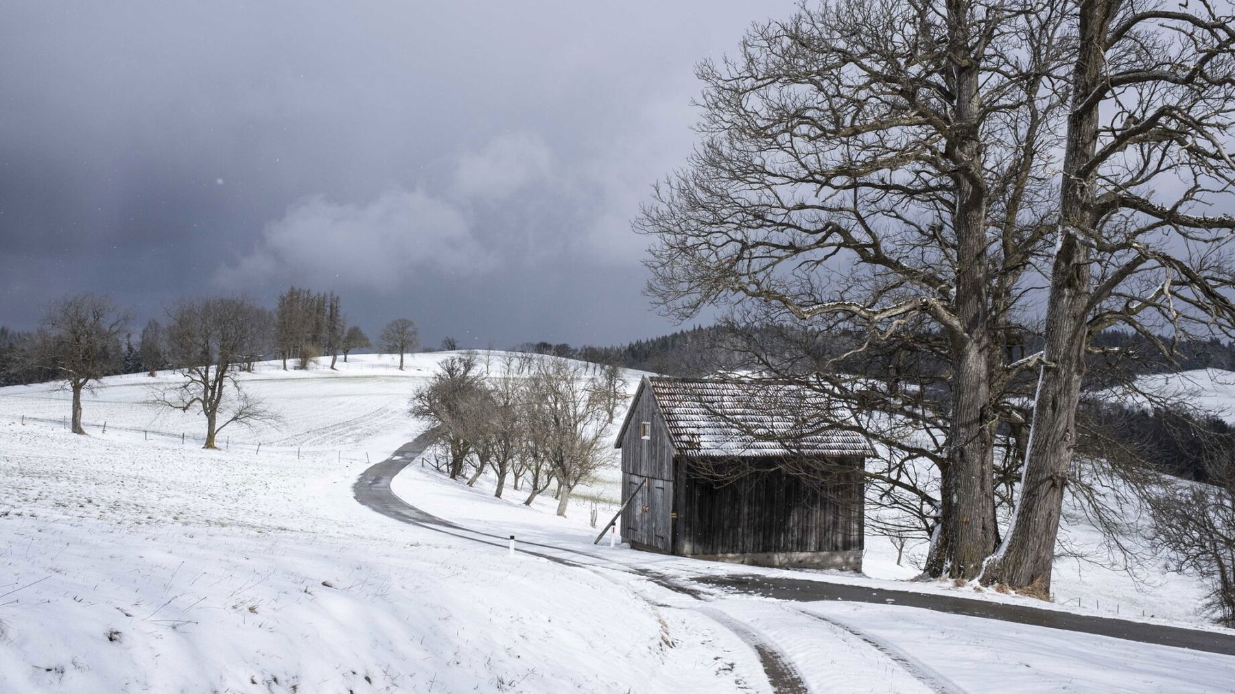Asphaltstraße zwischen den Bauernhöfen. Foto: Birgit Reiter