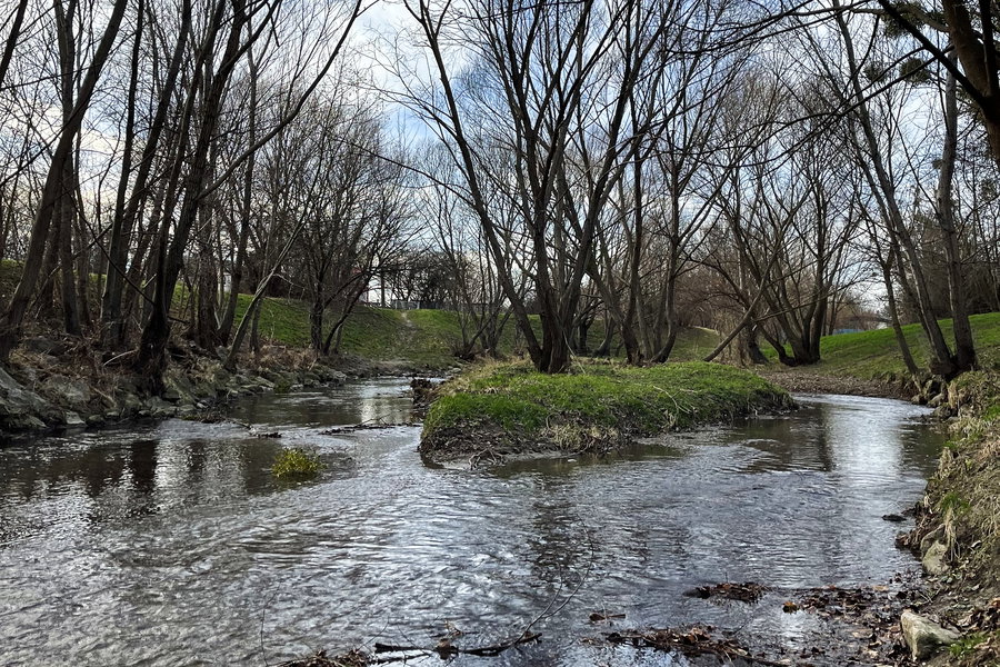 Die Liesing begleitet uns. Foto: Inna Kravchenko