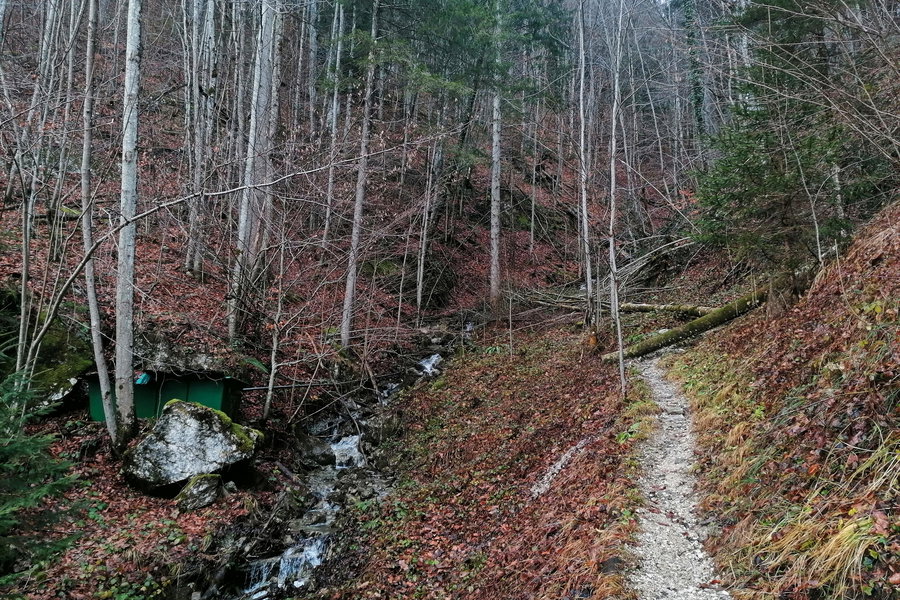 Wandern nach Wochen voller Weihnachtskekse. Foto: Sarah Pallauf