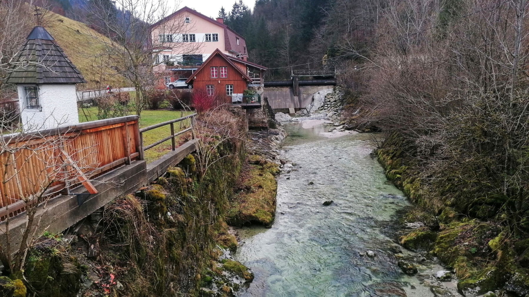 Der wunderschöne Ybbssteinbach. Foto: Sarah Pallauf