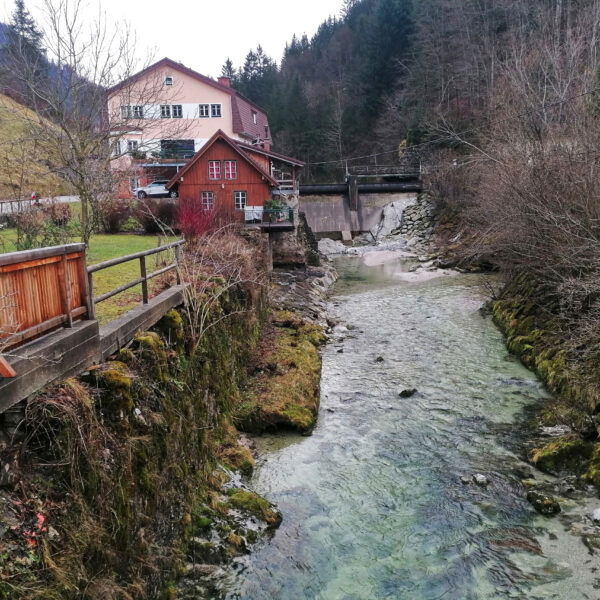 Der wunderschöne Ybbssteinbach. Foto: Sarah Pallauf
