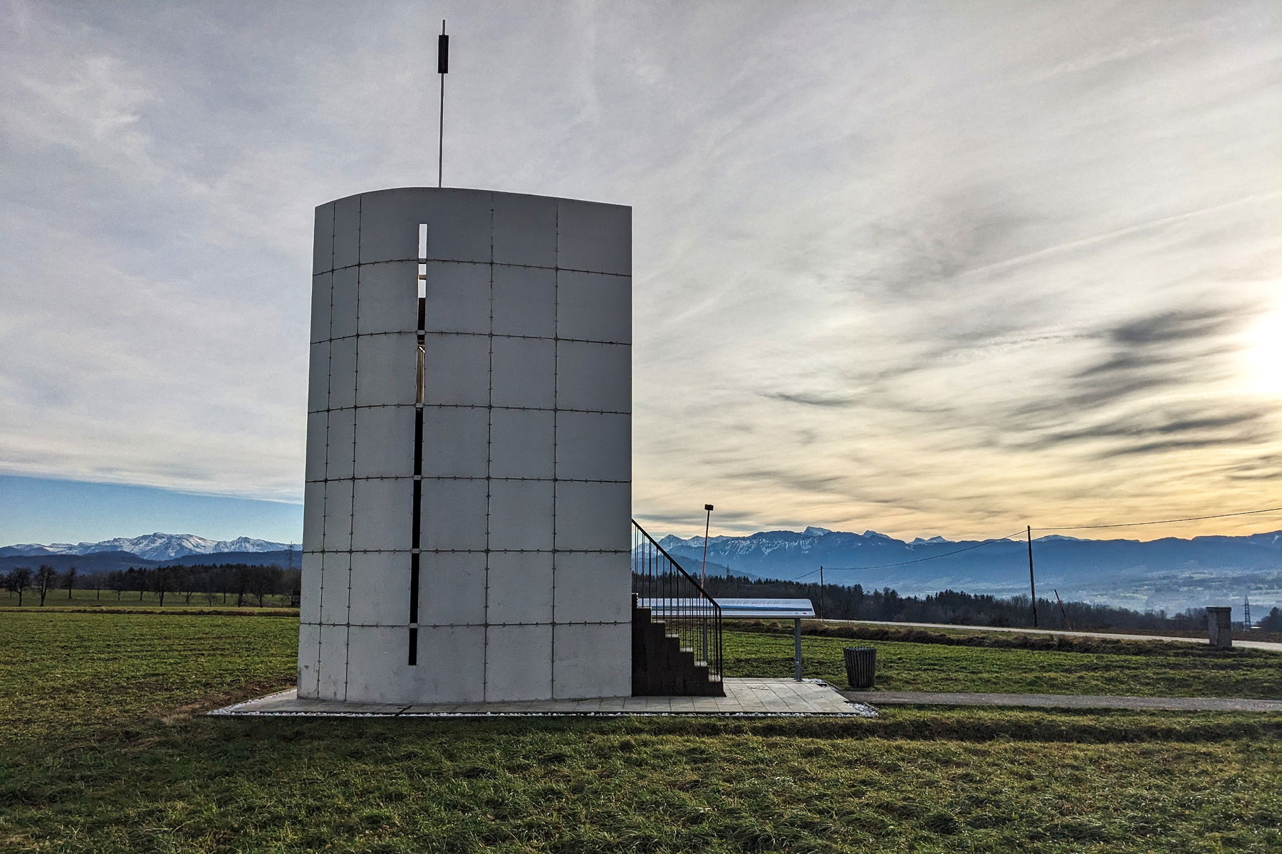 Baum mitten in der Welt