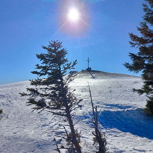 Skitour Turnauer Hochanger: Gemütliche und aussichtsreiche Rundtour im Hochschwab
