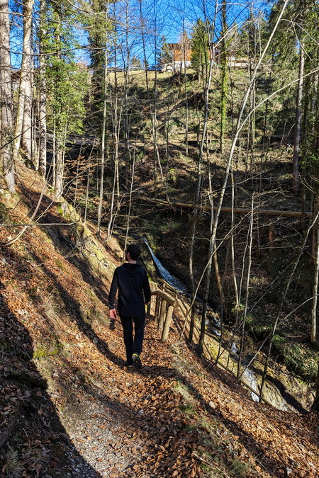 Der Schluchtweg führt entlang des Grünbachs hinunter ins Tal. Foto: Maresa Brandner