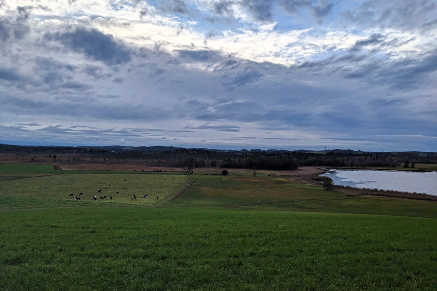 Dieser Ausblick unterhalb der Jausenstation veranlasst uns außerdem, die vor uns liegende Moorlandschaft zu erkunden. Zwar spielt das Wetter heute nicht perfekt mit, doch man hört schon die vielen Vögel, die sich hier niedergelassen haben! Foto: Thomas Obermair