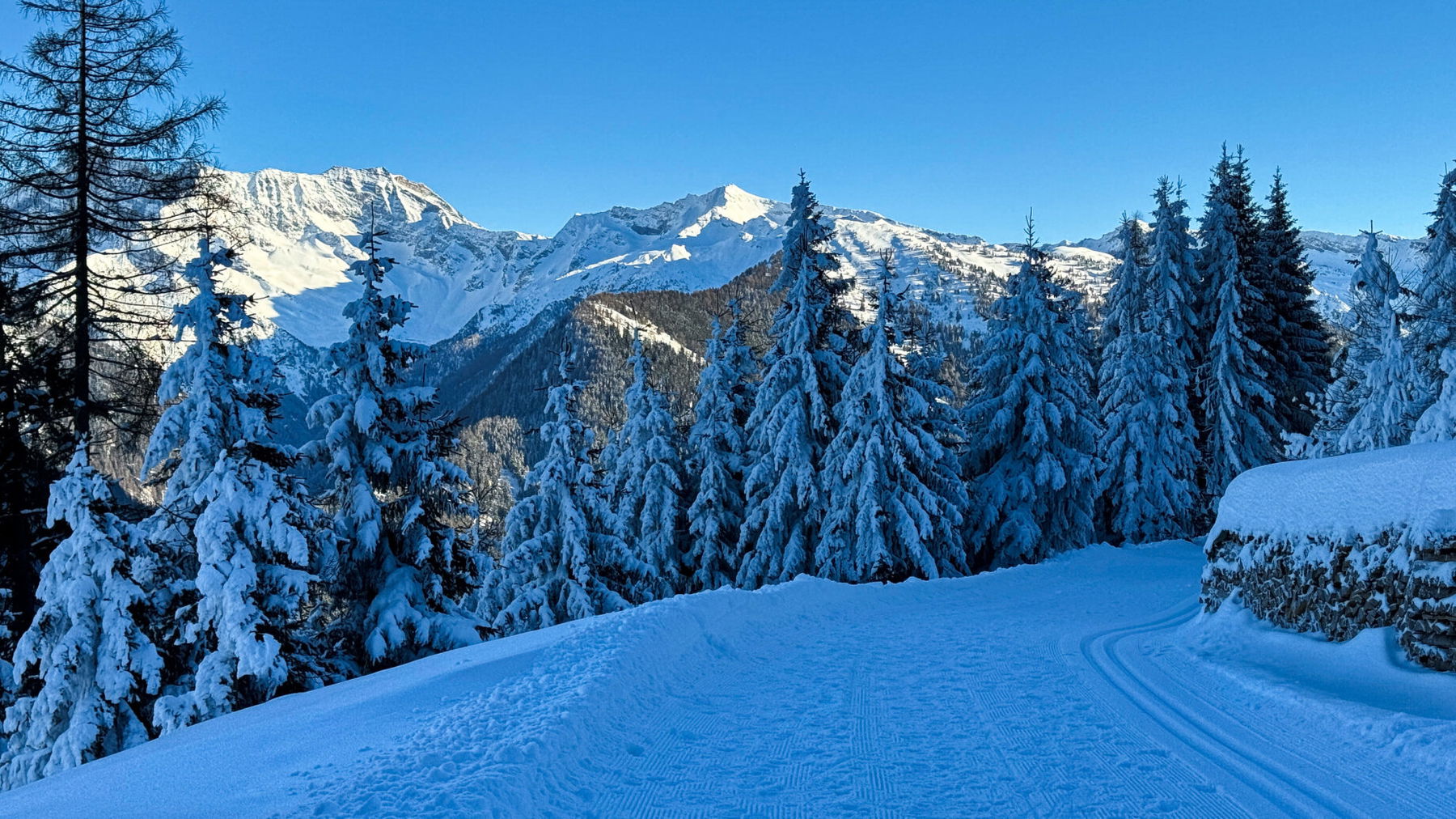 Blick Richtung Süden. Foto: Bernhard Walle