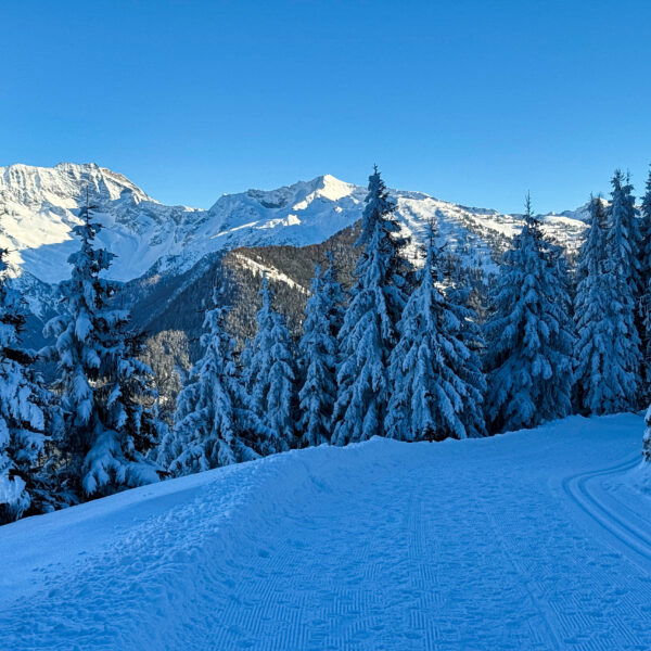 Blick Richtung Süden. Foto: Bernhard Walle