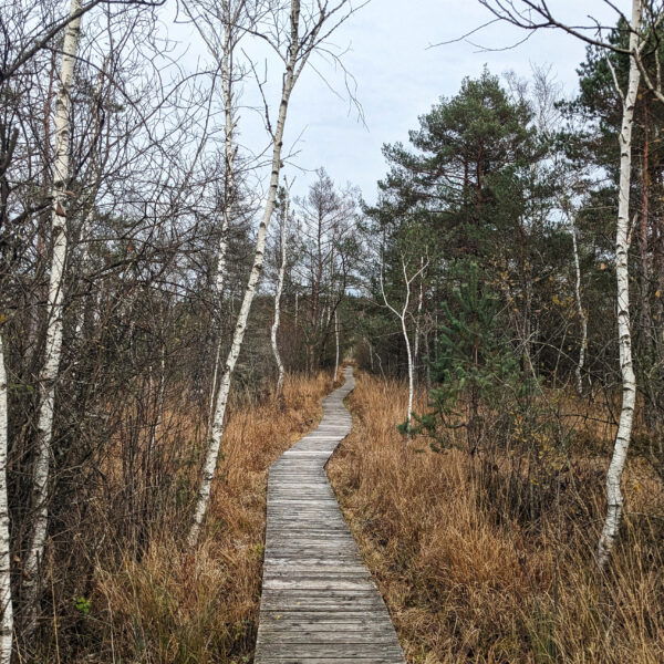 Die Natur trägt Birkenstock immer noch am schönsten, da kann Louis Vuitton nicht mithalten! Foto: Thomas Obermair