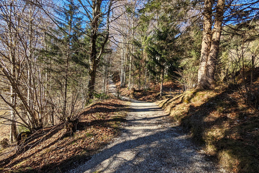 Der breitere Weg oberhalb des Bauernhofs. Foto: Maresa Brandner