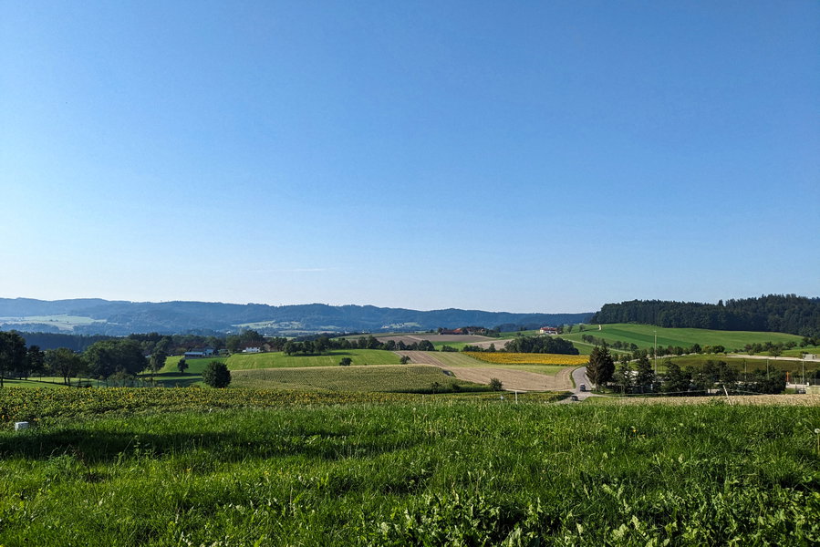 Zwischendurch öffnet sich immer wieder ein Ausblick über die Hügellandschaft. Mit jedem Höhenmeter sehen wir weiter, bis wir in den kühlen Wald eintauchen. Foto: Thomas Obermair