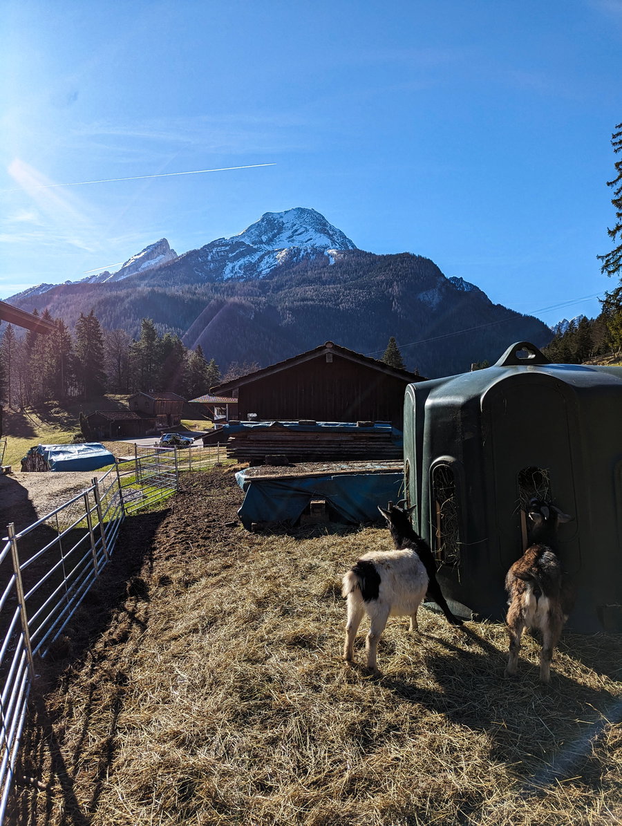Blick vom Bauernhof aus in Richtung Watzmann. Foto: Maresa Brandner