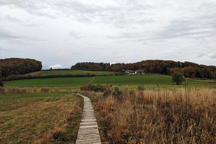 Der Blick hoch zur Jausenstation. Entlang des Gebüsches auf mittlerer Höhe führt der Weg in die Ortschaft Ibm. Foto: Thomas Obermair