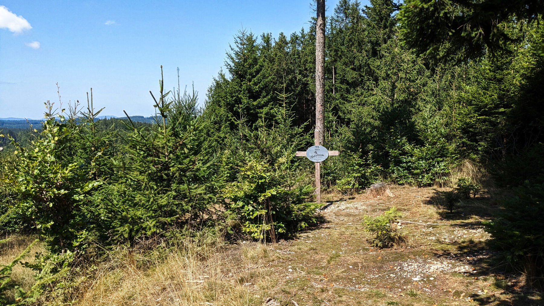 Ein kleines Kreuz der Naturfreunde markiert den Urhamerberg. Im Schatten der großen Fichte steht eine Bank mit Tisch. Auch ein kleiner Bike-Trail findet sich hier, ein Indiz für die vielfältige sportliche Nutzung des Hausruckwaldes. Foto: Thomas Obermair