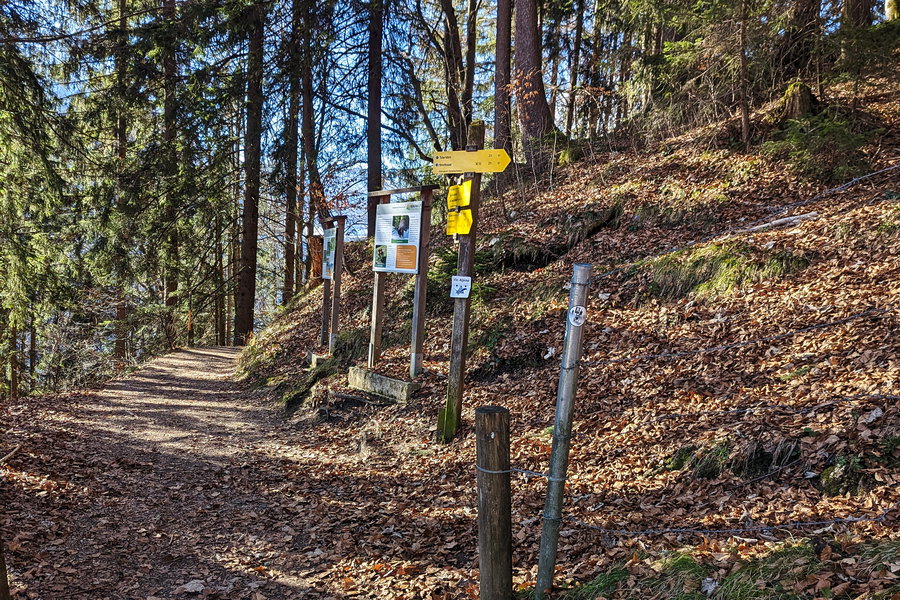 Hinter dem Gasthaus Gerstreit führt uns der Weg nach rechts durch den Wald. Foto: Maresa Brandner