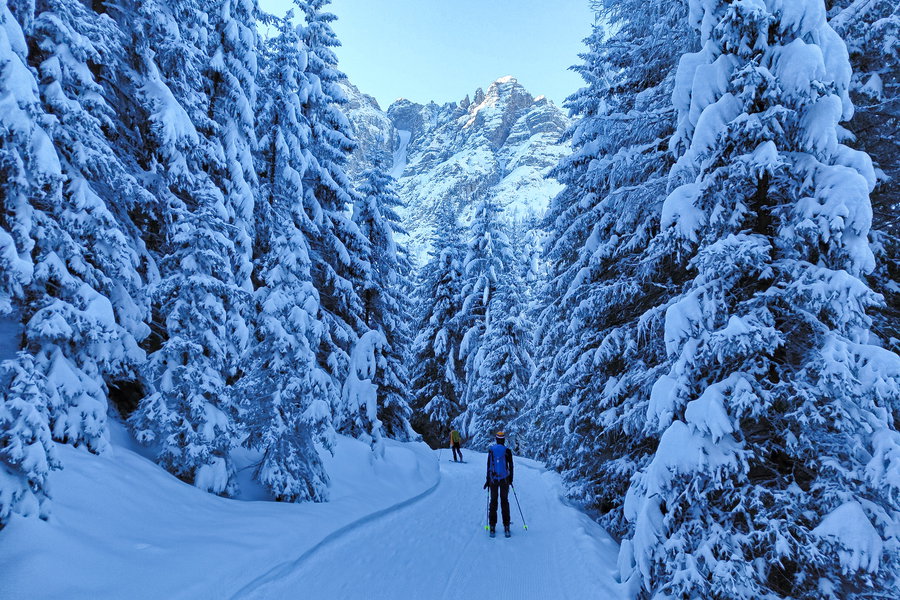 Auf der Forststraße in Richtung Maria Waldrast. Foto: Simon Widy