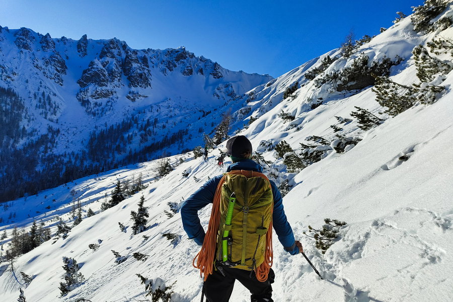 Aufstieg durch Latschen. Foto: Simon Widy