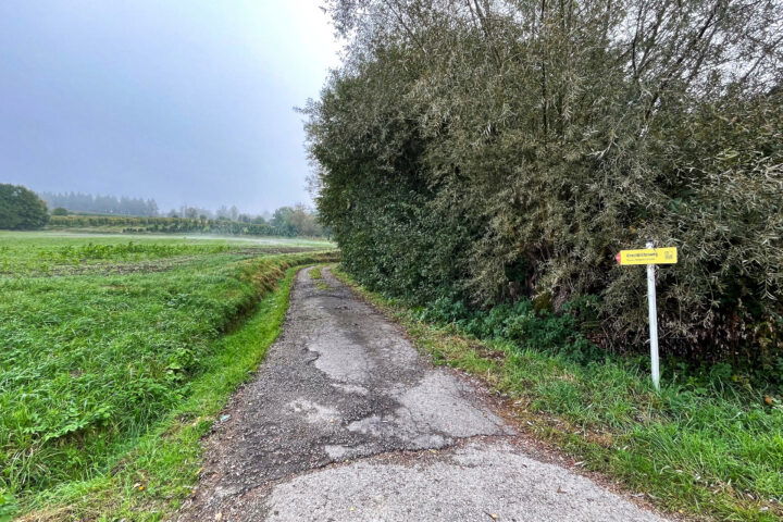 Fotos: Eva Maria Ginal 