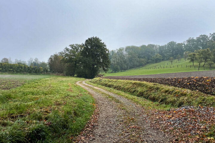 Fotos: Eva Maria Ginal 