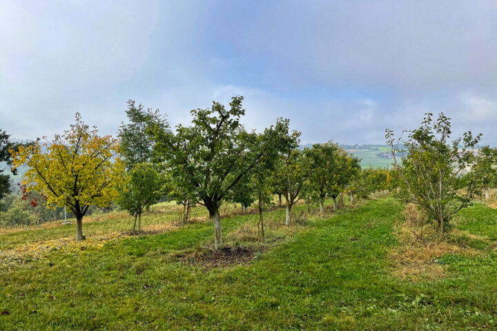 Fotos: Eva Maria Ginal 