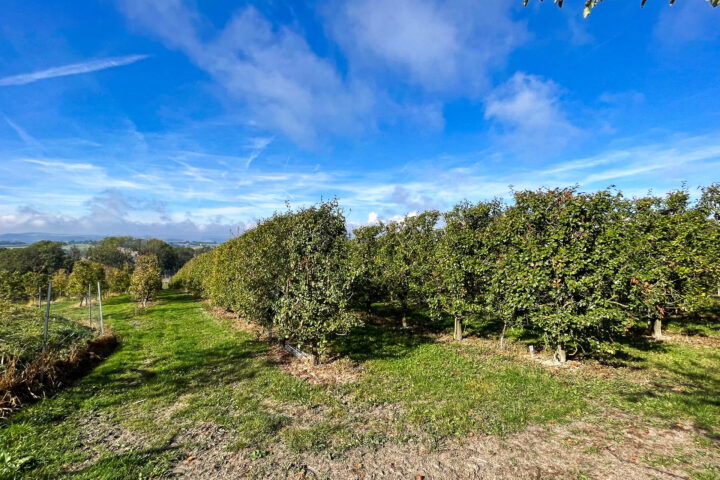 Fotos: Eva Maria Ginal 