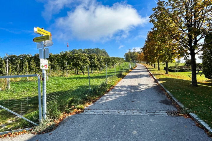 Fotos: Eva Maria Ginal 