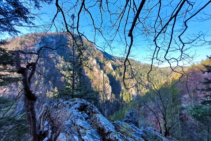 Ausblick in der Weizklamm. Foto: Alice Frischherz