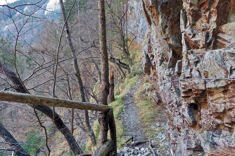 Seilversicherte Passage am Jägersteig. Foto: Alice Frischherz