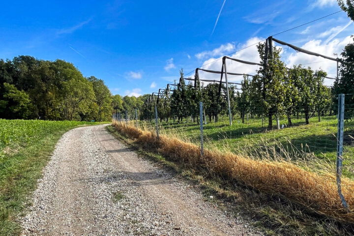 Fotos: Eva Maria Ginal 