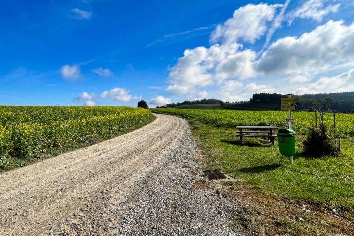 Fotos: Eva Maria Ginal 