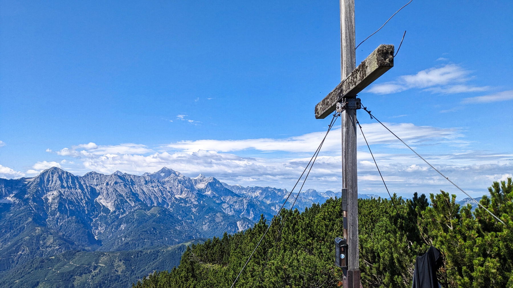 Spering. Foto: Thomas Obermair