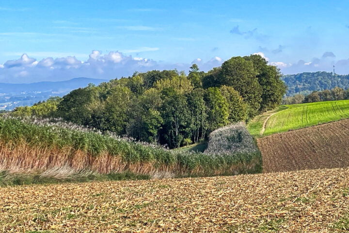 Fotos: Eva Maria Ginal 