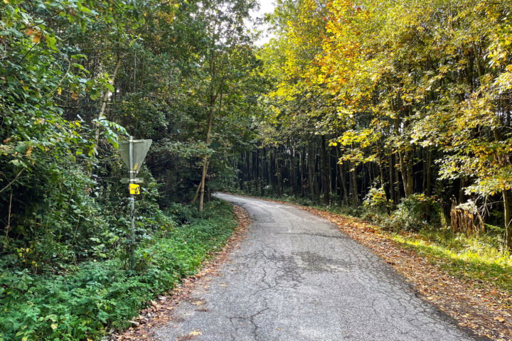 Fotos: Eva Maria Ginal 