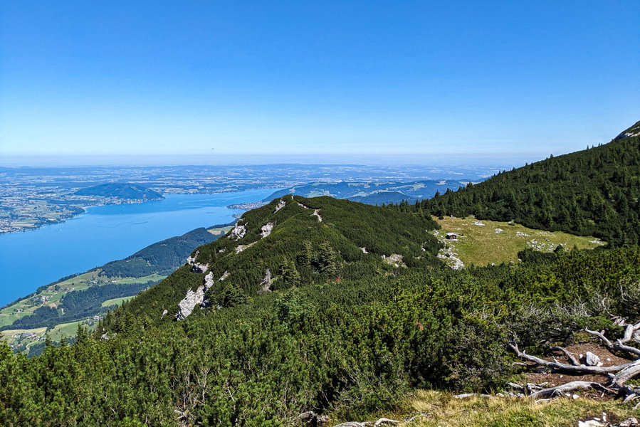 Boooahhh, man sieht bis zur Voest!” Allerdings nicht auf diesem Foto, nur in natura. Auch am Foto sichtbar: Attersee, Abstieg zum Brennerriesensteig durch die Latschen und die Brennerin-Alm. Foto: Thomas Obermair