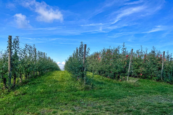 Fotos: Eva Maria Ginal 