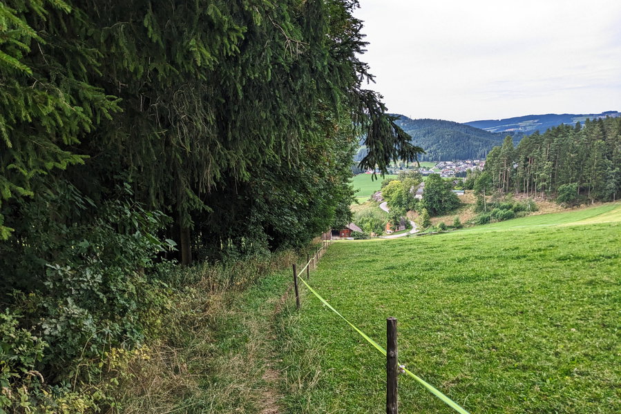 Bald treffen wir auf eine Straße, dieser folgen wir nach links. Zuerst noch parallel zur Markierung “ÖBB-Haltestelle”, später halten wir uns gerade aus weiter. Foto: Thomas Obermair