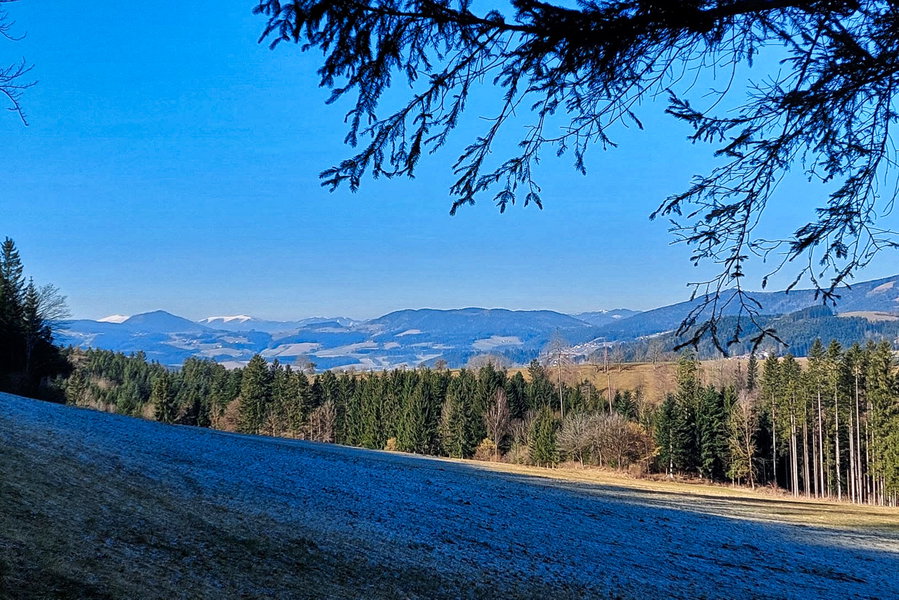 Blick auf die Grazer Bergwelt kurz vorm Abbiegen. Foto: Alice Frischherz