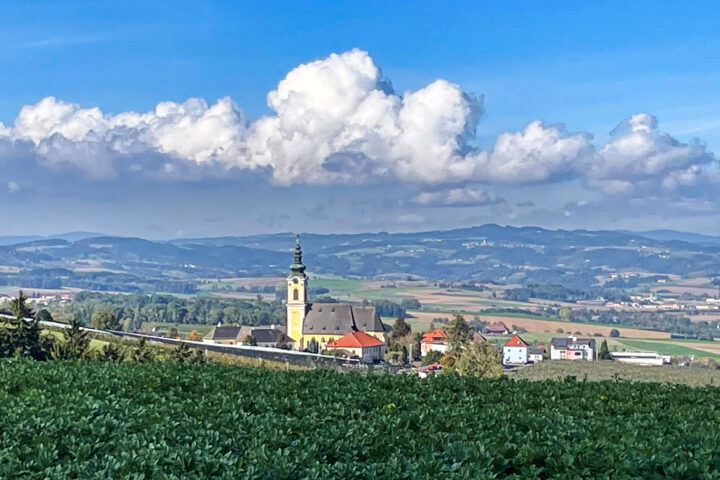 Fotos: Eva Maria Ginal 