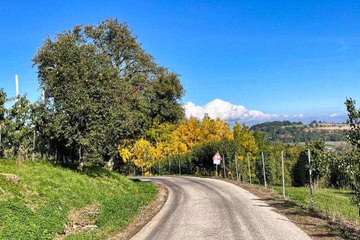 Fotos: Eva Maria Ginal 