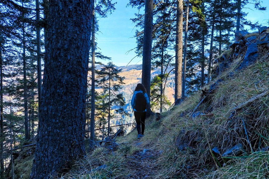 Aufstieg auf den Wolfsattel. Foto: Alice Frischherz
